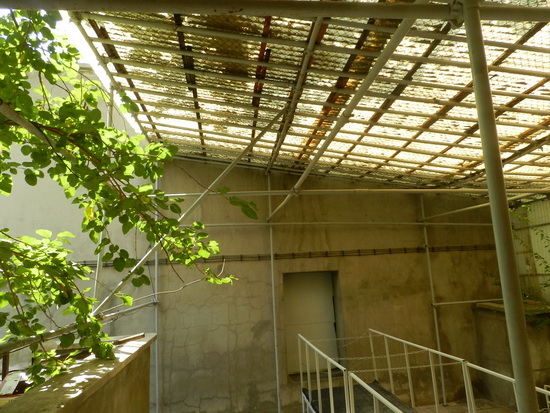 sediyani-20120205-13.jpg sediyani-20120205-13.jpg