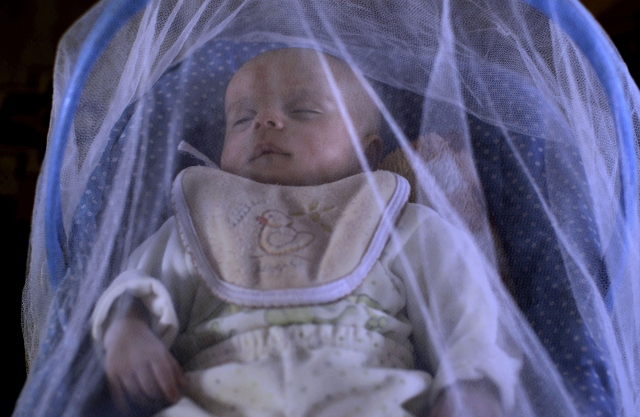 Suriye Direnişinden Fotoğraflar 4