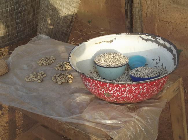 Burkina Faso, İHH ve Kurban 10