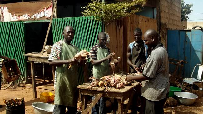 Burkina Faso, İHH ve Kurban 16