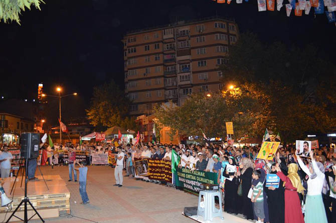 Bursa'da Mısır Protestosu 15