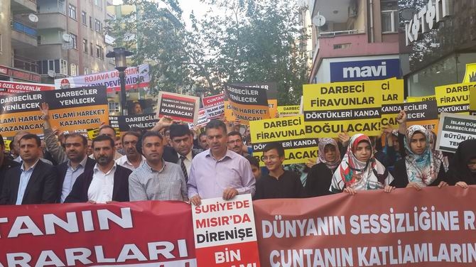 Mısır Cuntasının İdam Kararları Diyarbakır’da Kınandı 4