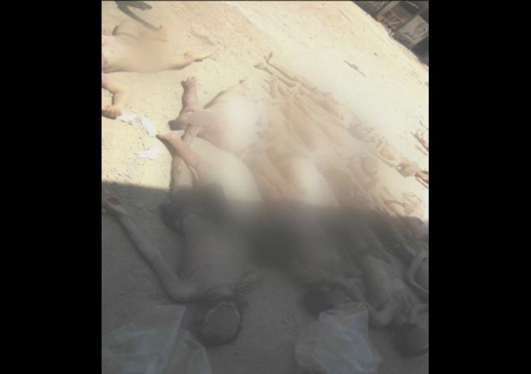 Esed Rejiminin İşkencelerinin Yeni Fotoğrafları 3