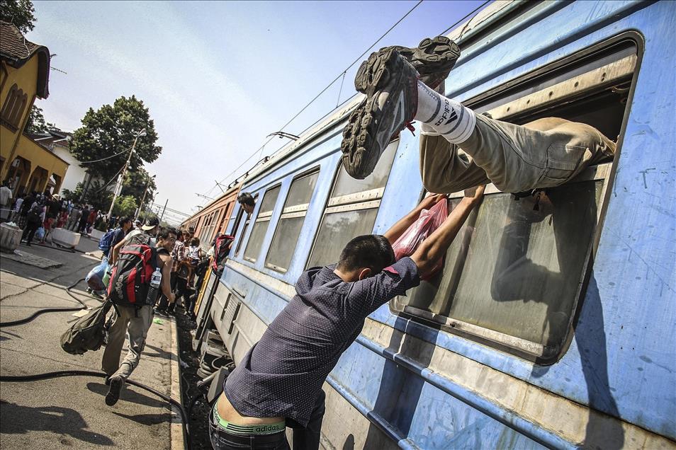 Anadolu Ajansının Gözüyle 2015 22