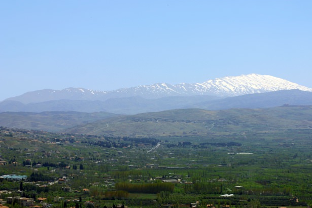 Madaya’dan Kaçış Yok; Açlık Var, Ölüm Var! 15