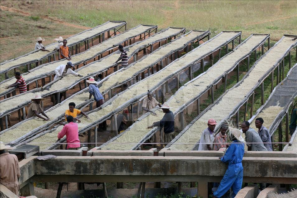 Günde 1 Dolara Dünya Markaları İçin Ter Döküyorlar! 2