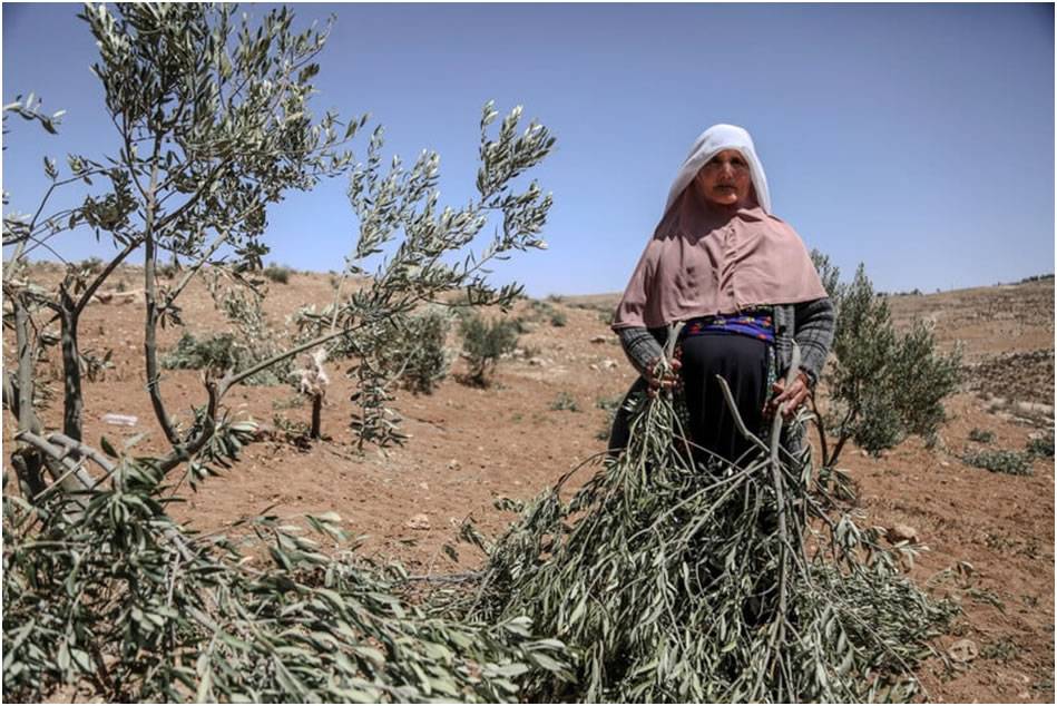 Fotoğraflarla Filistin: Mayıs 2025 27