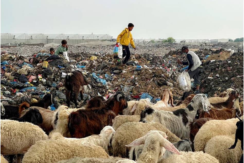 Fotoğraflarla Filistin: Kasım 2025 36
