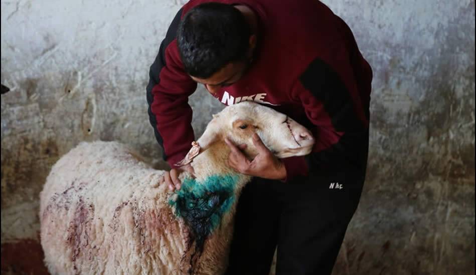 Fotoğraflarla Filistin: Aralık 2025 18