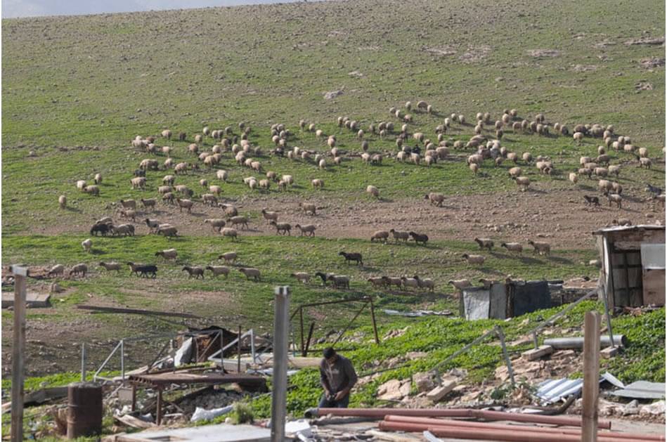 Fotoğraflarla Filistin: Ocak 2026 26