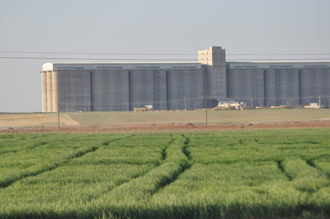 Özgür-Der Rakkada 51