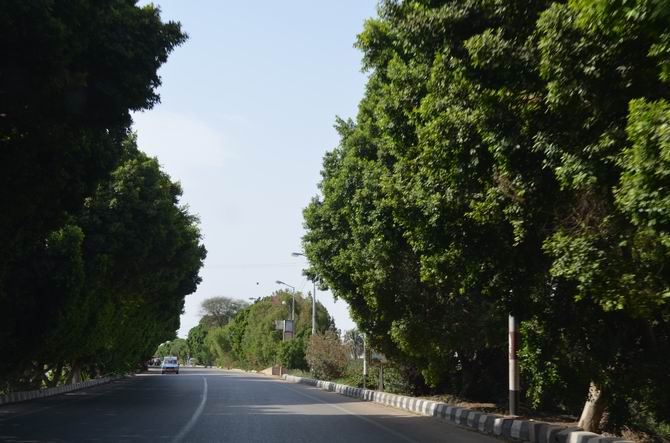 Cidde’den Mısır’a Gezi Günlüğü - 4 Muhsin Ö. Mengüşoğlu 12