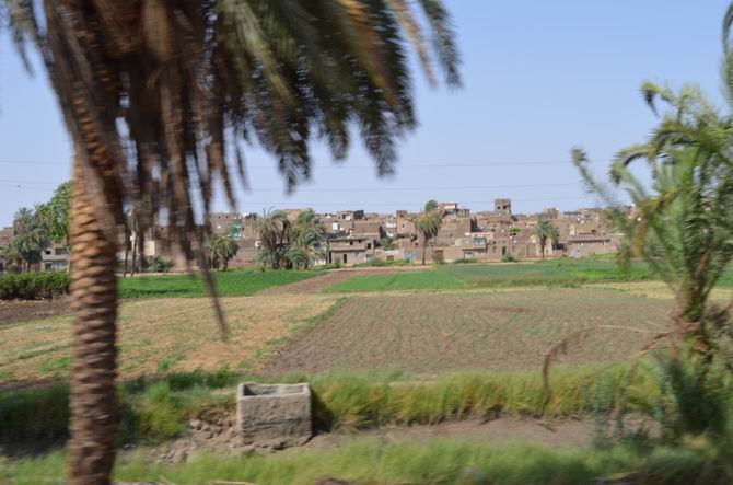 Cidde’den Mısır’a Gezi Günlüğü - 4 Muhsin Ö. Mengüşoğlu 14