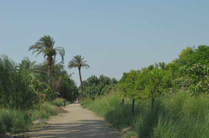 Cidde’den Mısır’a Gezi Günlüğü - 4 Muhsin Ö. Mengüşoğlu 3