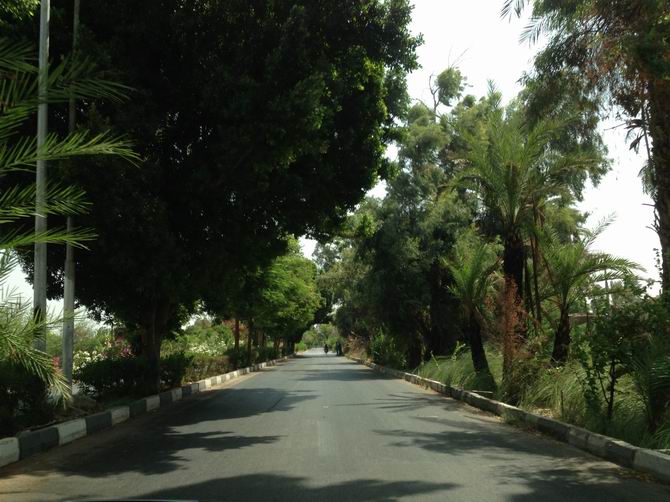 Cidde’den Mısır’a Gezi Günlüğü - 4 Muhsin Ö. Mengüşoğlu 38