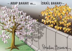 İbrahim Özdabak (YENİ ASYA)