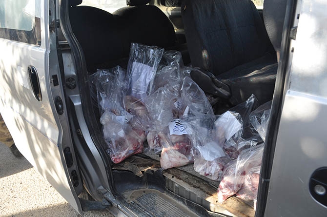 Özgür-Der Mensuplarının Kurbanları Suriye'de Kesildi 5