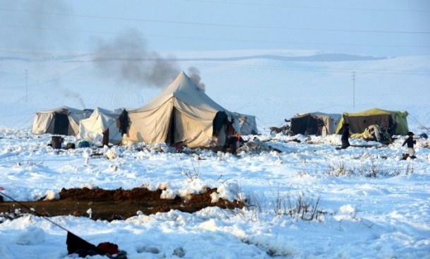 Dondurucu soğuklar en çok onları vurdu 8