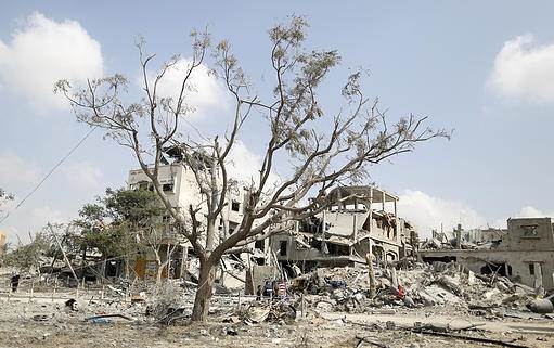 Ateşkesten Sonra Gazze Görüntüleri 2