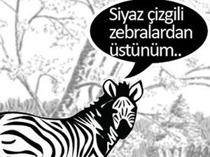 Ferguson ve Irkçılık...