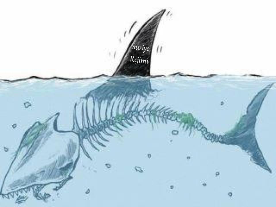 Buzdağının Görünmeyen Yüzü Boş!