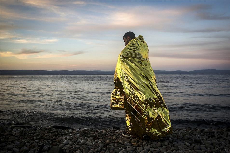 Anadolu Ajansı'nın Gözünden 2015 11