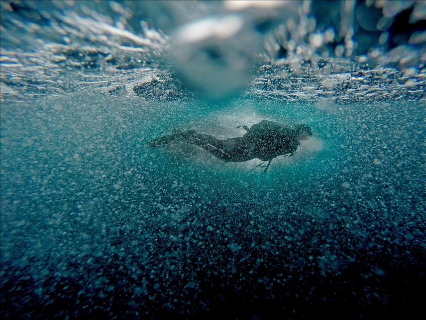 Anadolu Ajansı'nın Gözünden 2015 9