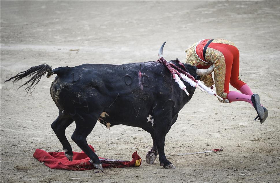 Anadolu Ajansının Gözüyle 2015 16