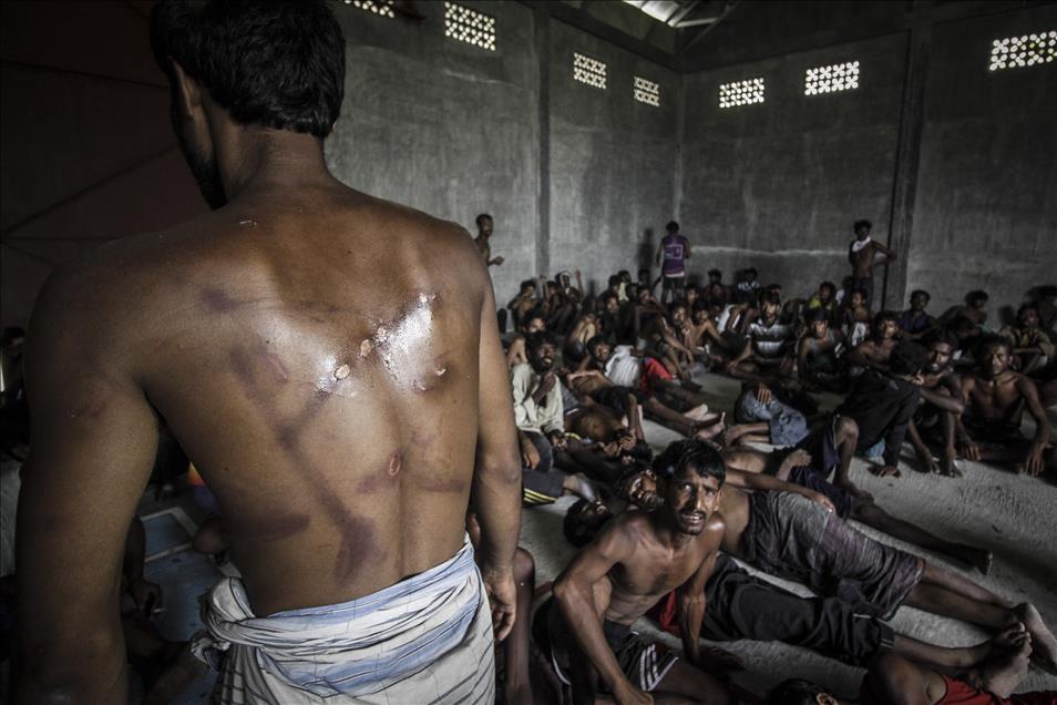 Anadolu Ajansının Gözüyle 2015 24