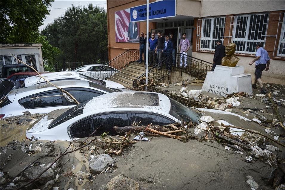 Anadolu Ajansının Gözüyle 2015 7