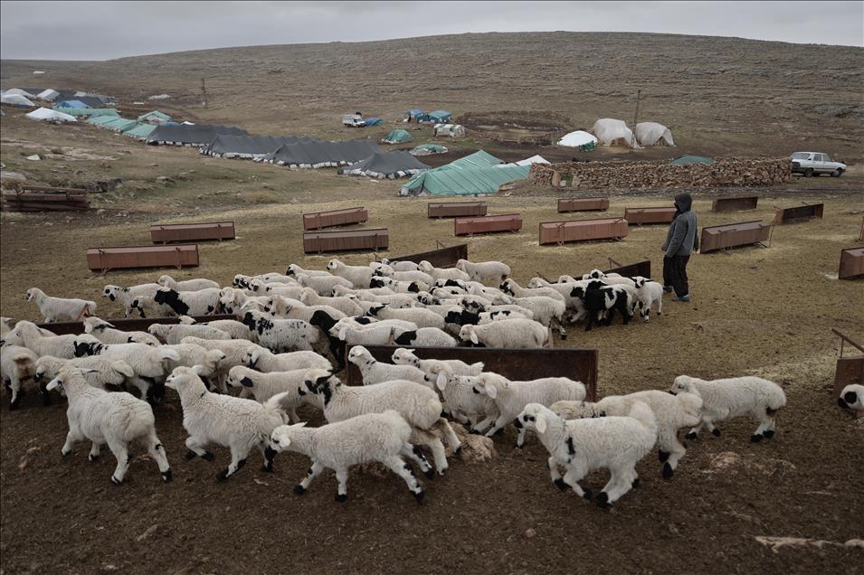 Göçerlerin Hayatı PKK’nın Saldırıları İle Daha Zorlaştı 4