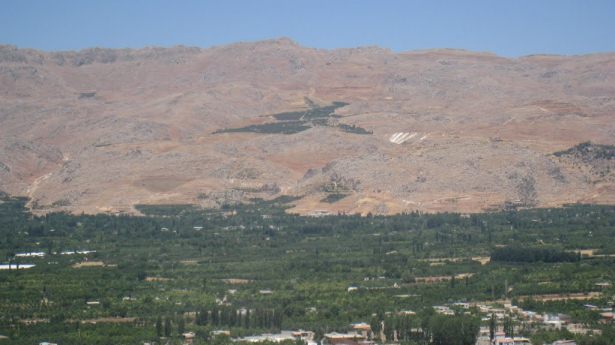 Madaya’dan Kaçış Yok; Açlık Var, Ölüm Var! 10