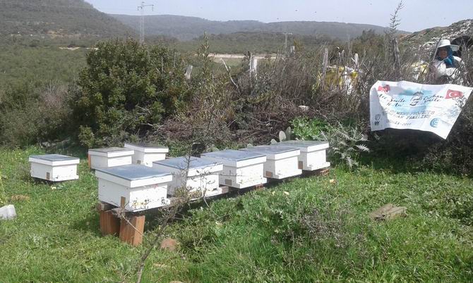 Tunus’ta Yetimlerle Dayanışma Günleri 41