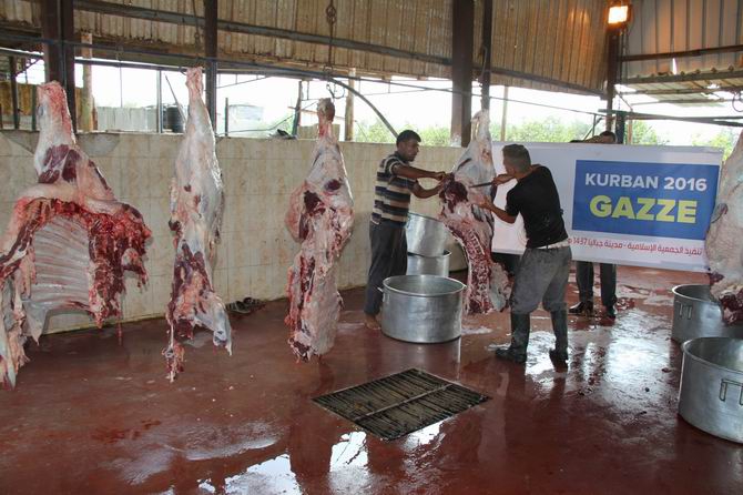 Özgür-Der Mensuplarının Kurbanları Gazze'de Kesildi 10