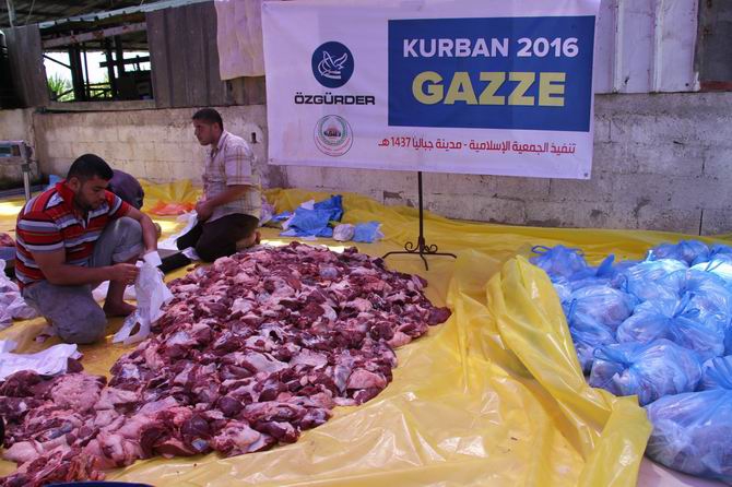 Özgür-Der Mensuplarının Kurbanları Gazze'de Kesildi 12