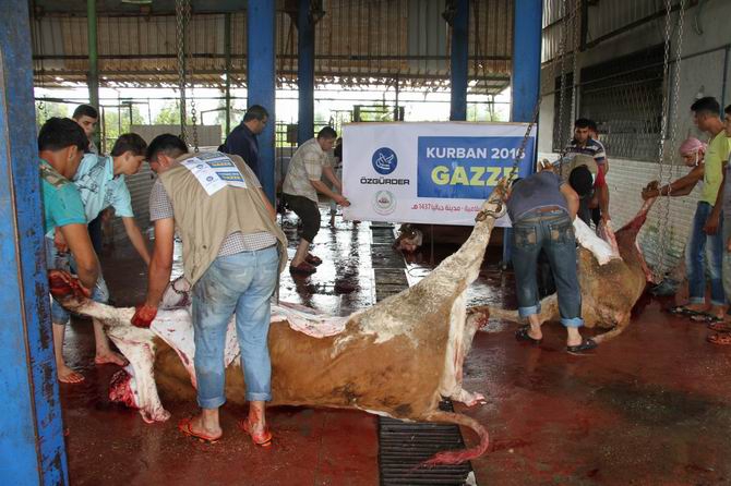 Özgür-Der Mensuplarının Kurbanları Gazze'de Kesildi 6