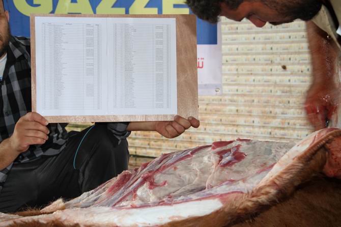 Özgür-Der Mensuplarının Kurbanları Gazze'de Kesildi 7