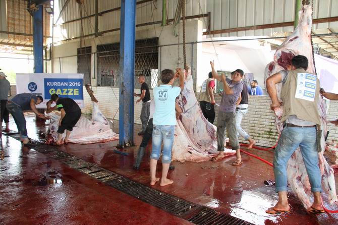 Özgür-Der Mensuplarının Kurbanları Gazze'de Kesildi 8