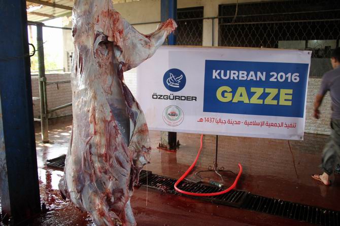 Özgür-Der Mensuplarının Kurbanları Gazze'de Kesildi 9