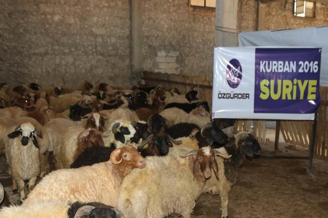 Özgür-Der Mensuplarının Kurbanları Suriye'de 8