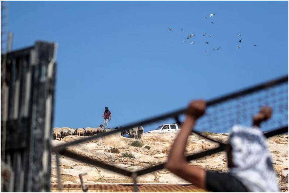 Fotoğraflarla Filistin: Mayıs 2025 15