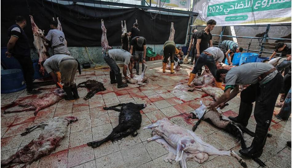 Fotoğraflarla Filistin: Haziran 2025 7