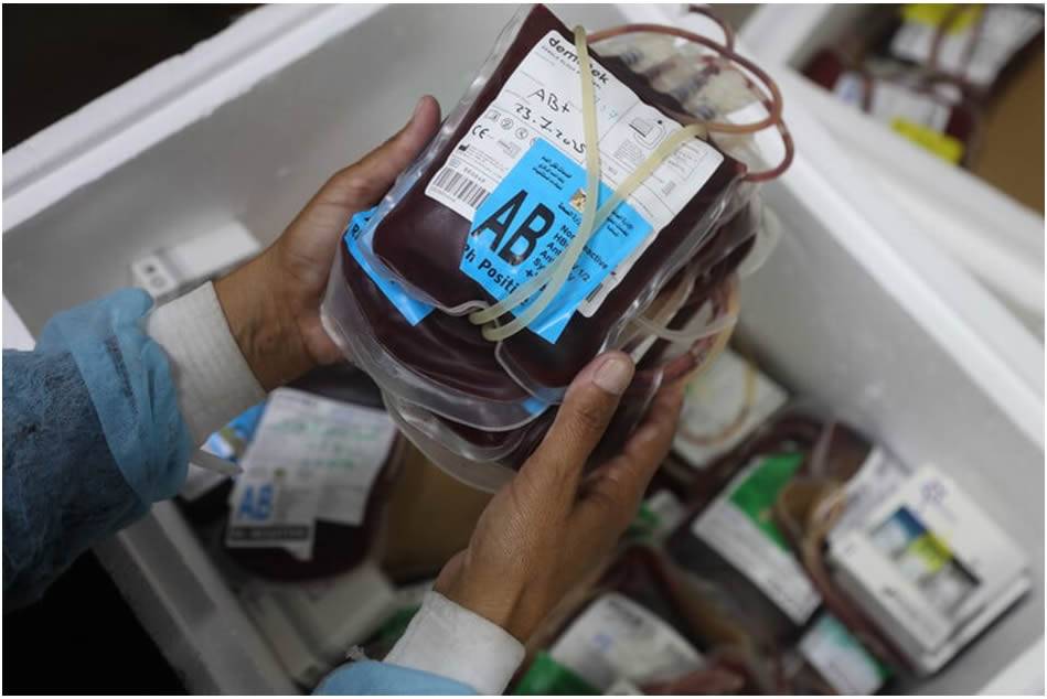 Fotoğraflarla Filistin: Ağustos 2025 7