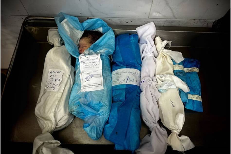 Fotoğraflarla Filistin: Eylül 2025 16