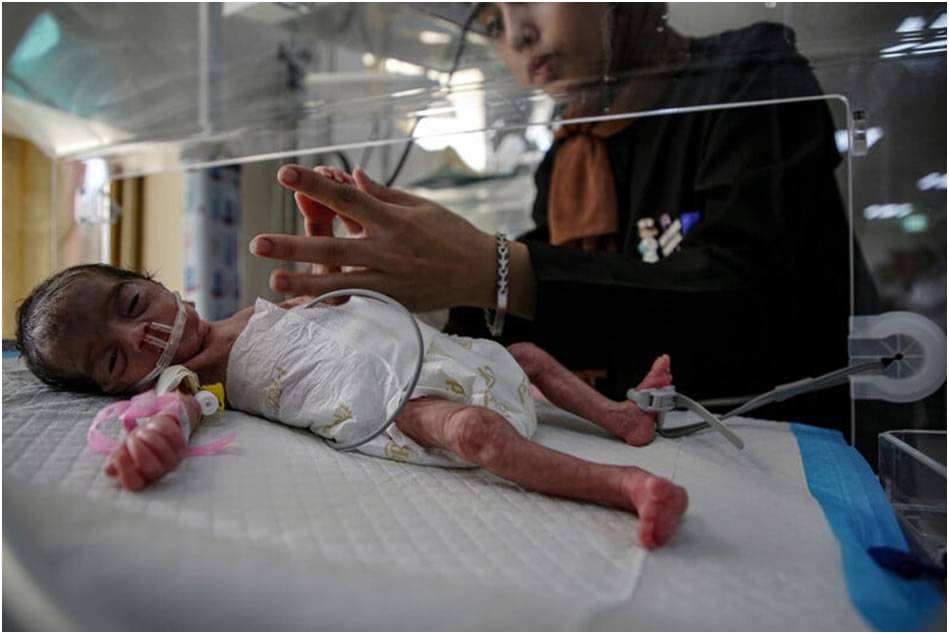 Fotoğraflarla Filistin: Eylül 2025 28