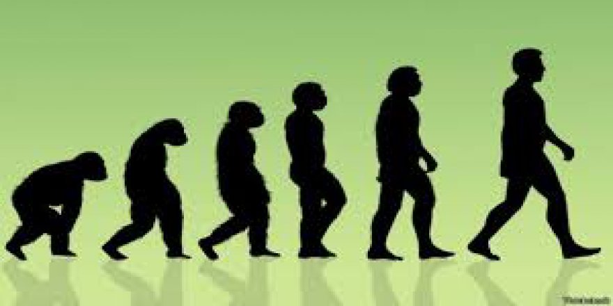 Evrim Teorisi Lise Müfredatından Çıktı, Seküler Batı Ayağa Kalktı
