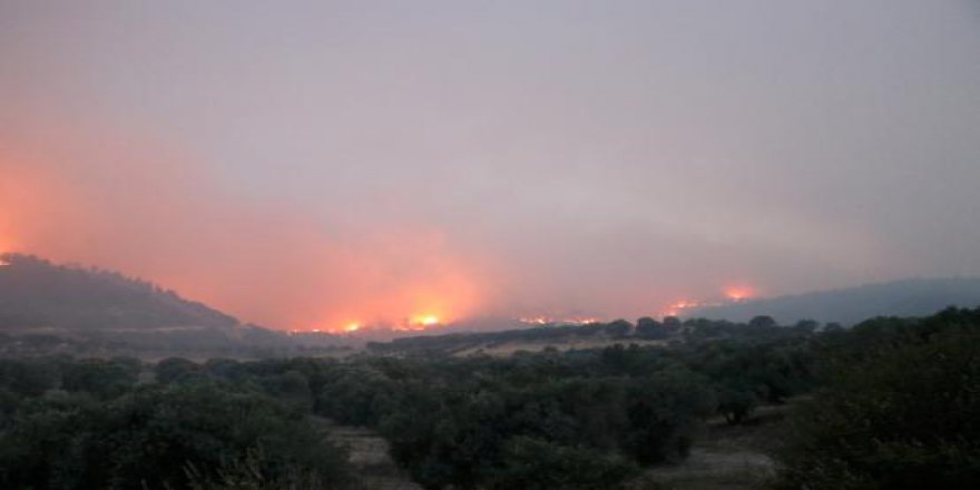 Denizli'de Orman Yangını Nedeniyle 3 Mahalle Boşaltıldı