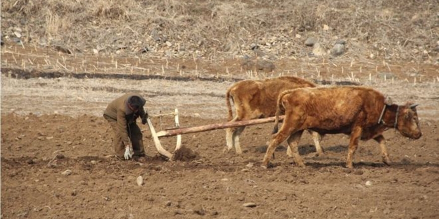 BM’den Kuzey Kore İçin Kıtlık Uyarısı