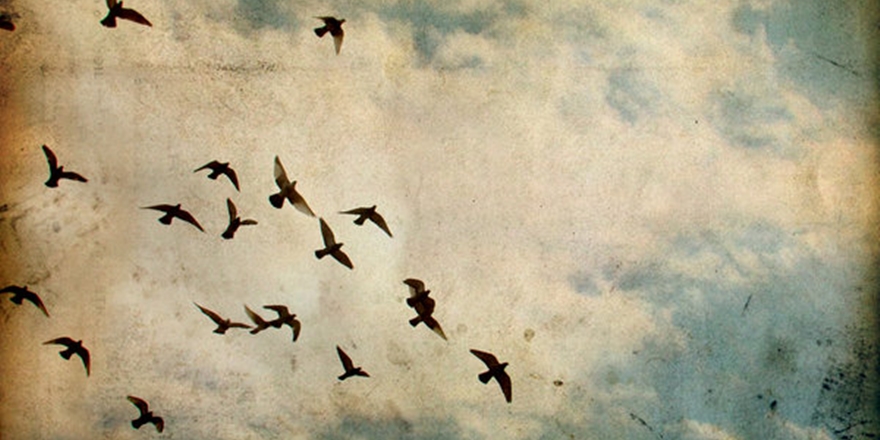 ‘Fikirler Güyâ Hür; Amma, Zihinler Kelepçeli..’