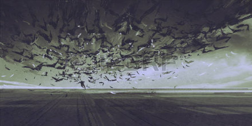 ‘Racon’ Devlet Literatürüne Girmemeli!